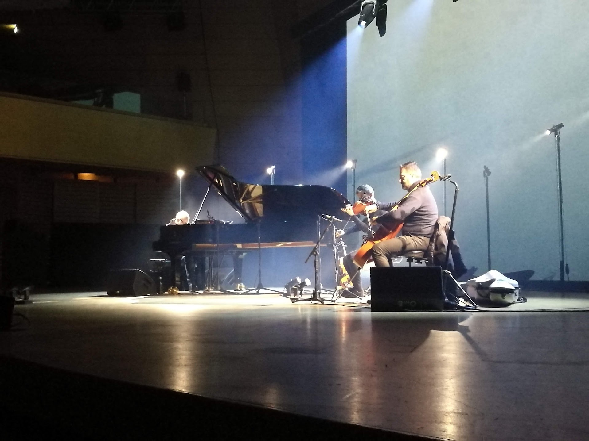 Osteopata del Tour Milanese di Ludovico Einaudi 2019